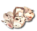 Carne di lumaca