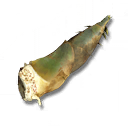 Germoglio di ninfa boschiva