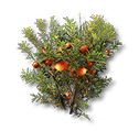 Arcofiore