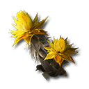 Fogliasabbia