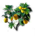 Ombralina