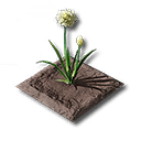 錦草畑