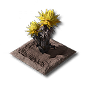 サンドリーフ畑