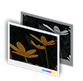 Filtro: scuro