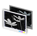 Filtro: monocromatico