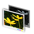 Filtro: primavera